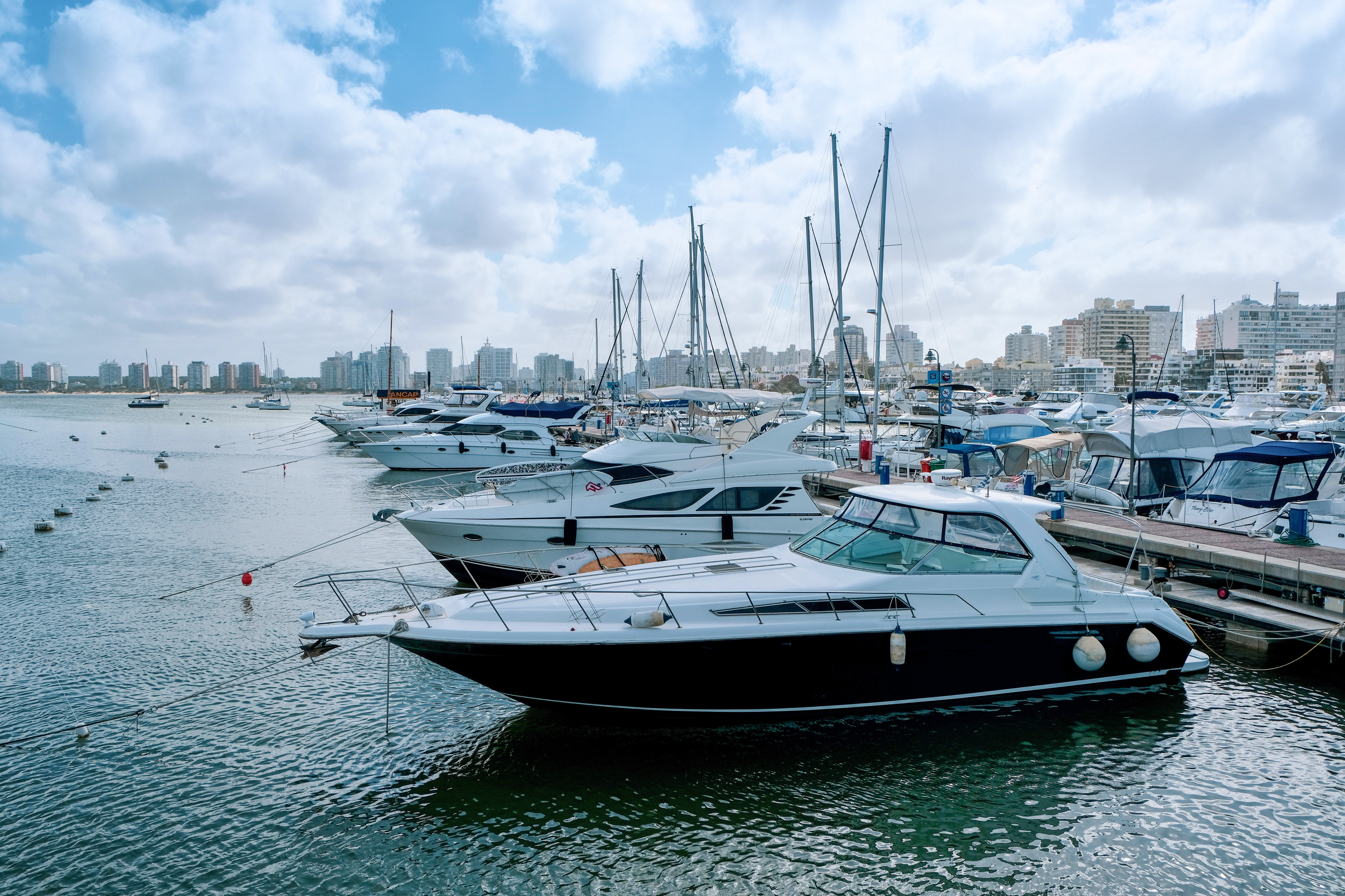que hacer en punta del este