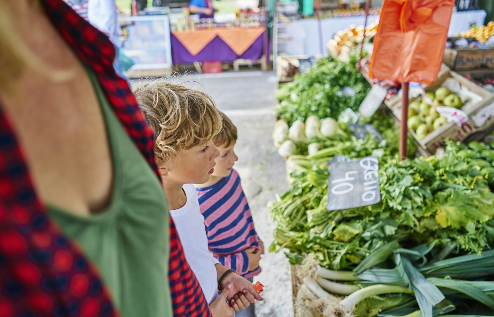 Lugares para pasar el día en Uruguay
