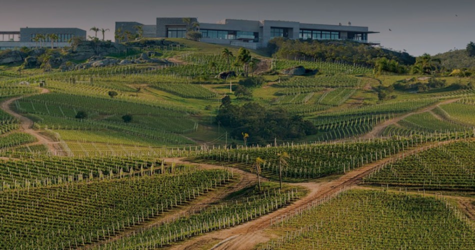 Bodegas