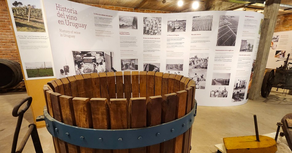 Museo del Vino